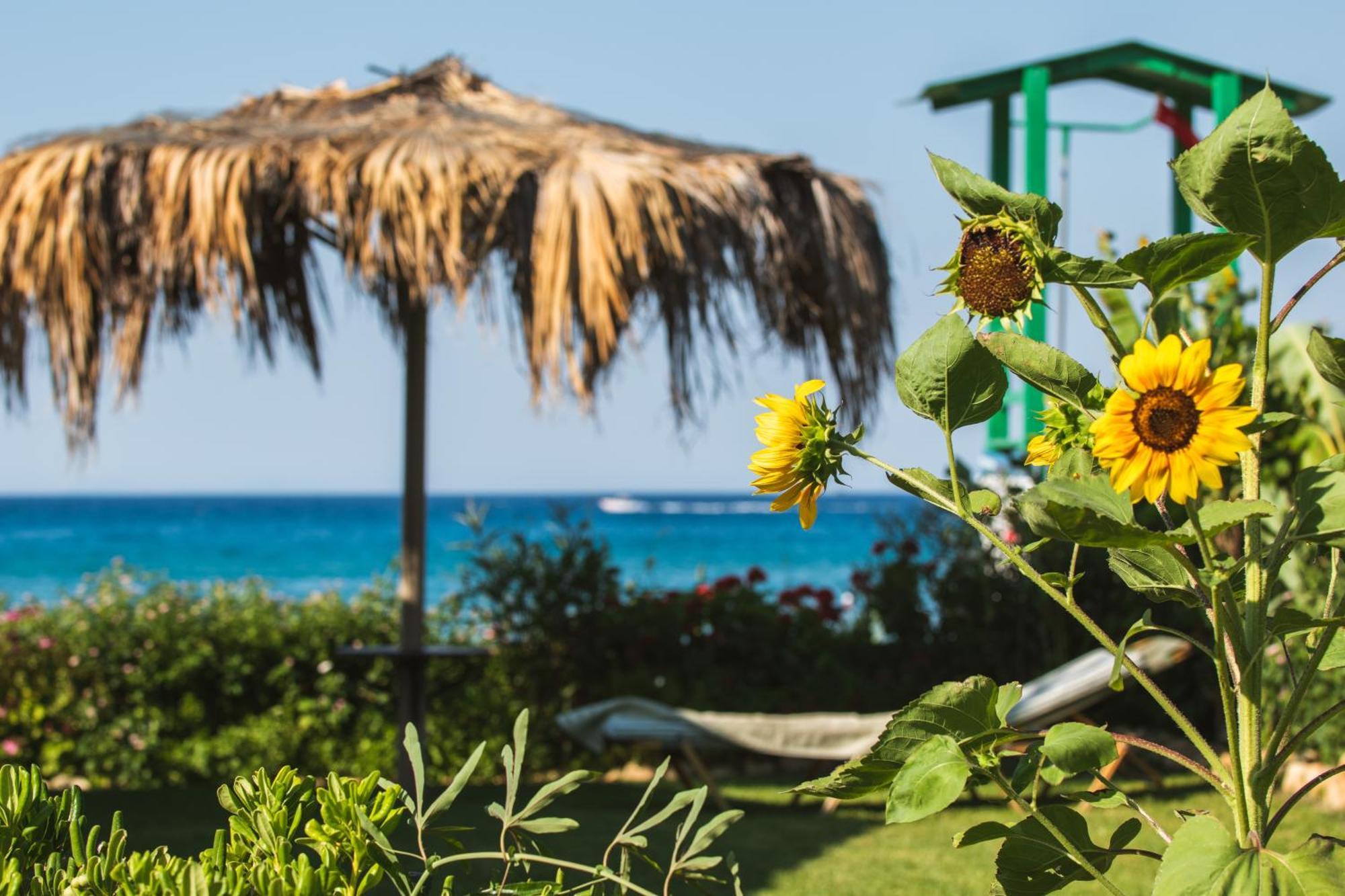Garden Studios أليكيس المظهر الخارجي الصورة